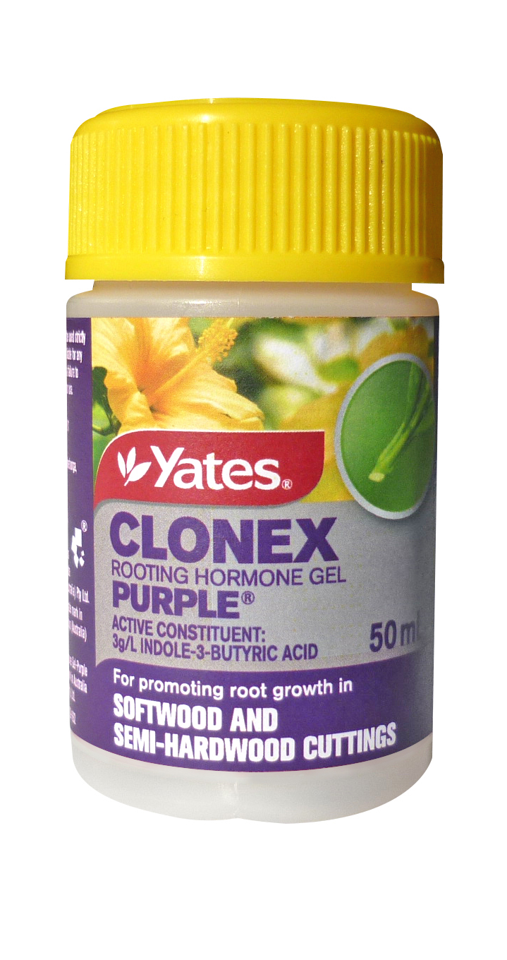 55017 Yates Clonex Root Gel Purple