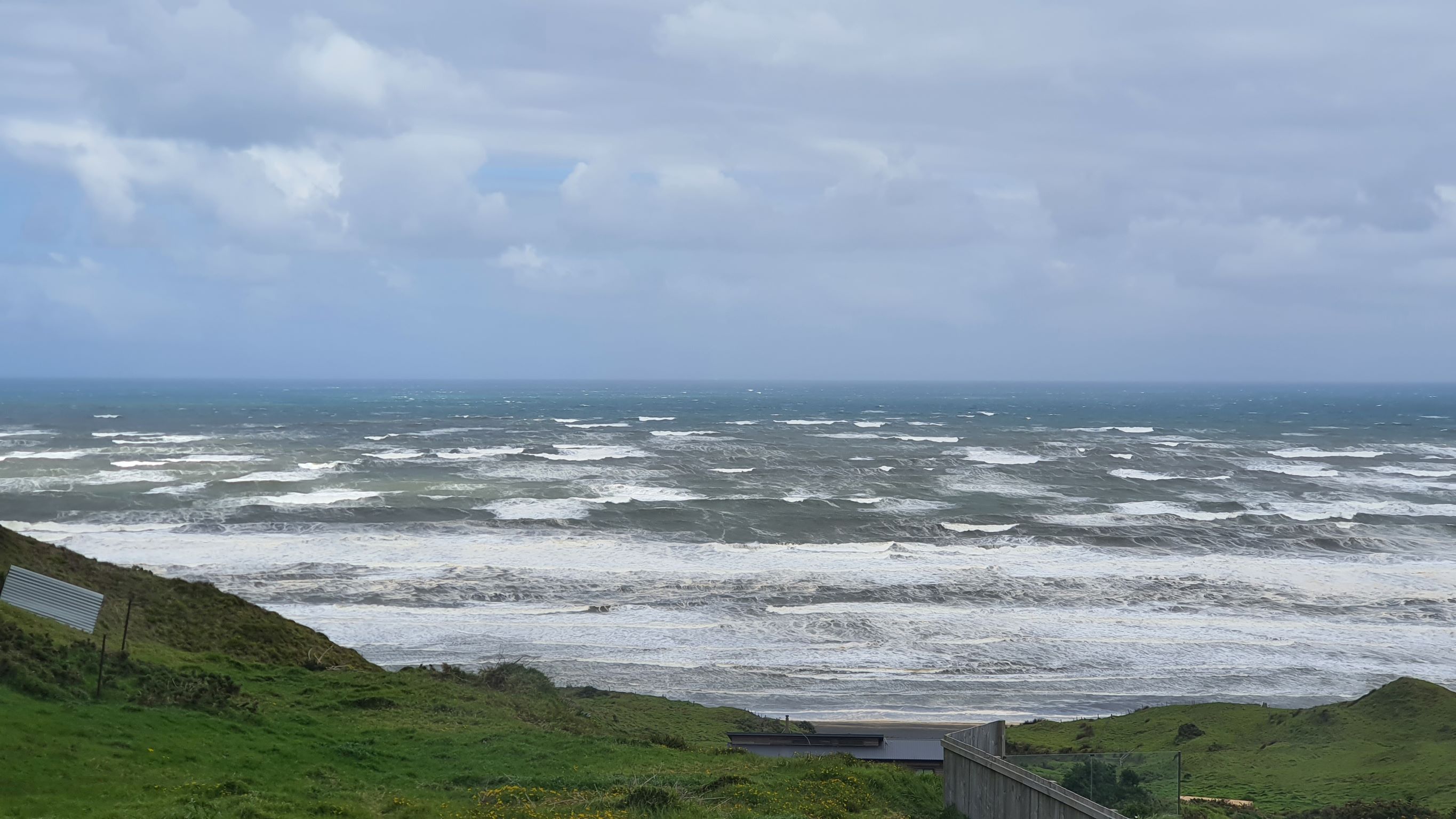 Friday Top Tips – Protecting the Garden