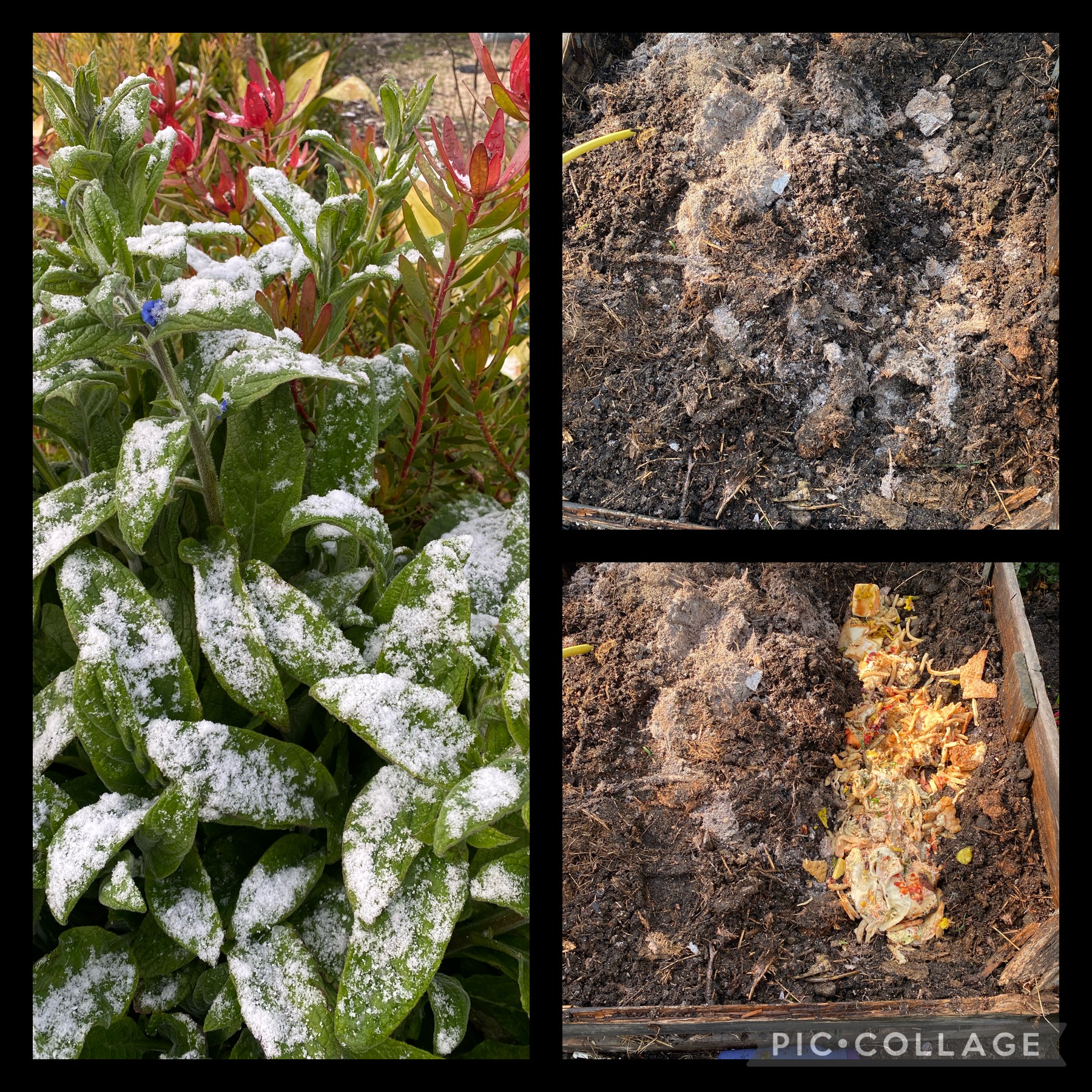 Mother Nature and spring time all so changeable 