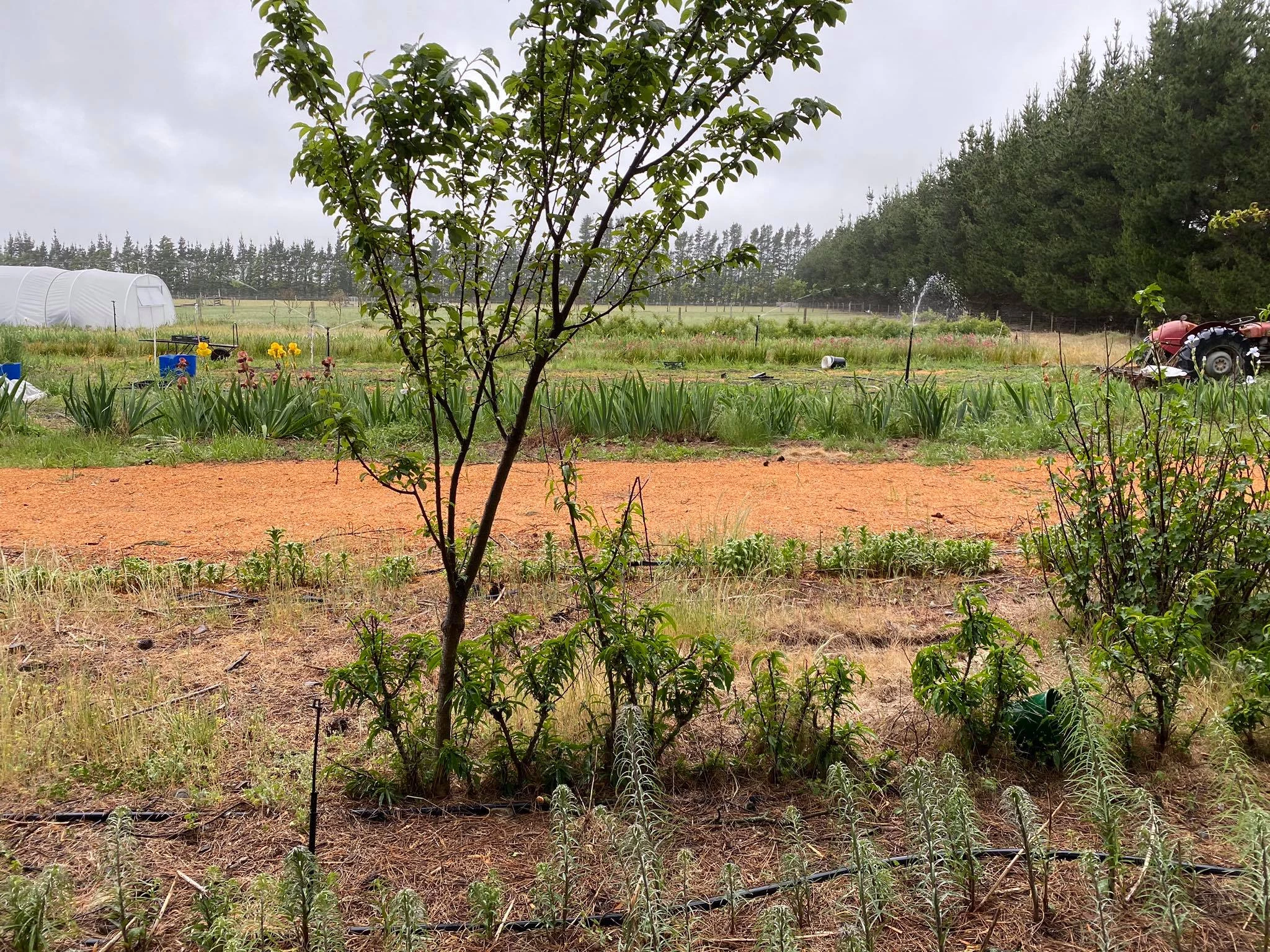 Labour this labour weekend 