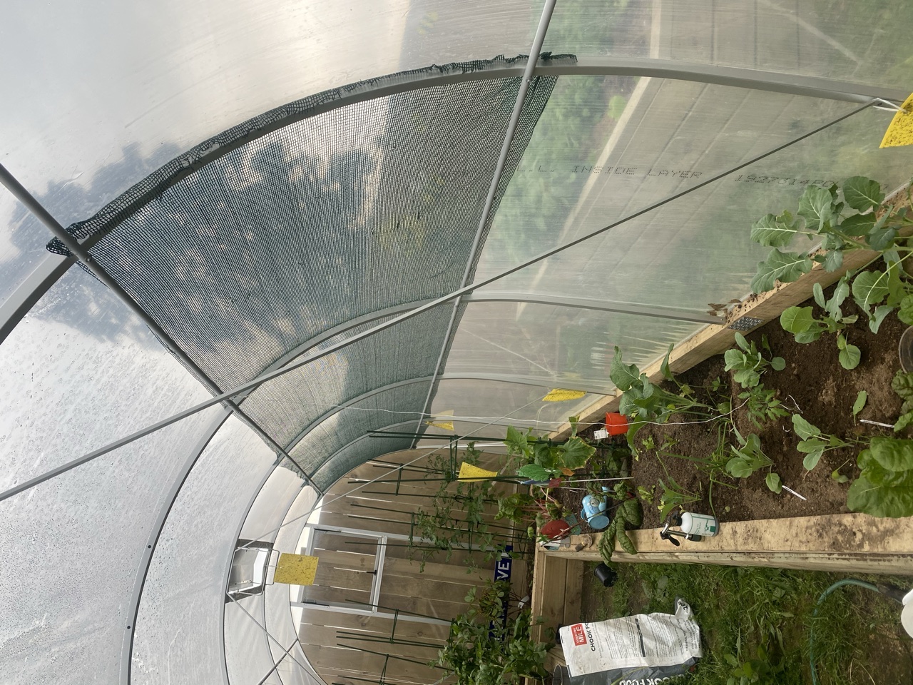 Pre cooked, not the way I like it