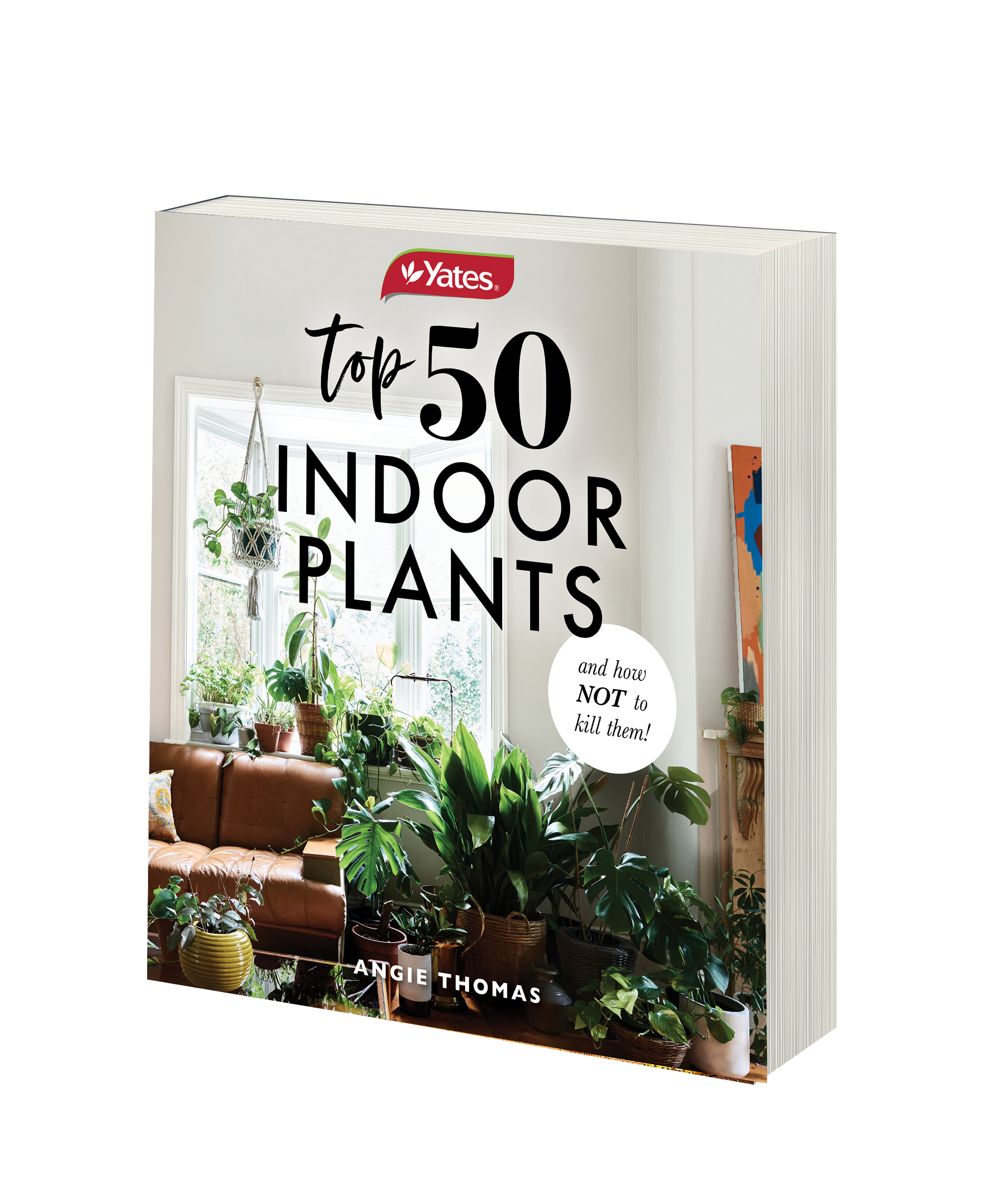 55904 Yates Top 50 Indoor Plants & How Not To Kill Them