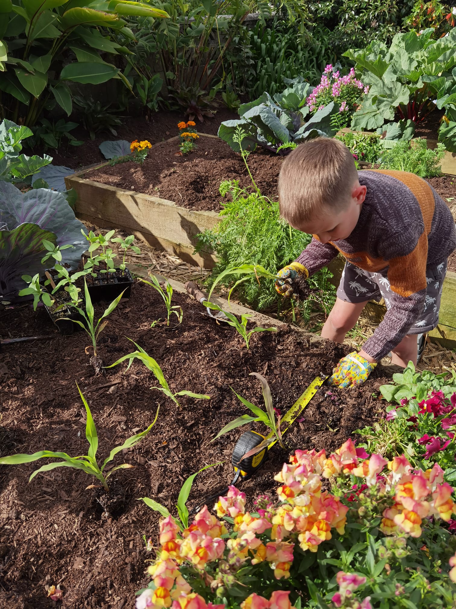 Glass Gem Popping Corn 