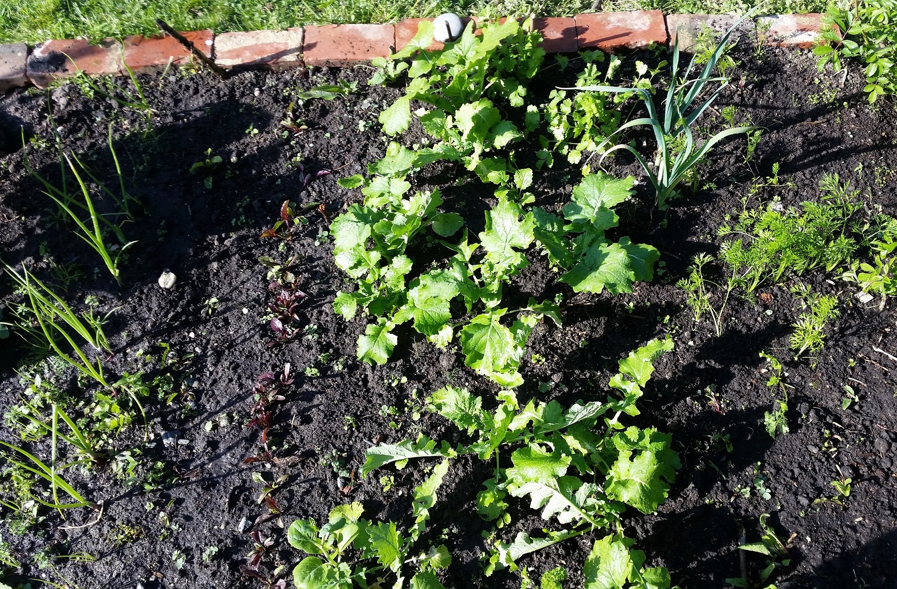 It will not be this tidy again, until winter 