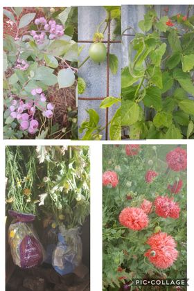 Another busy weekend in the sun