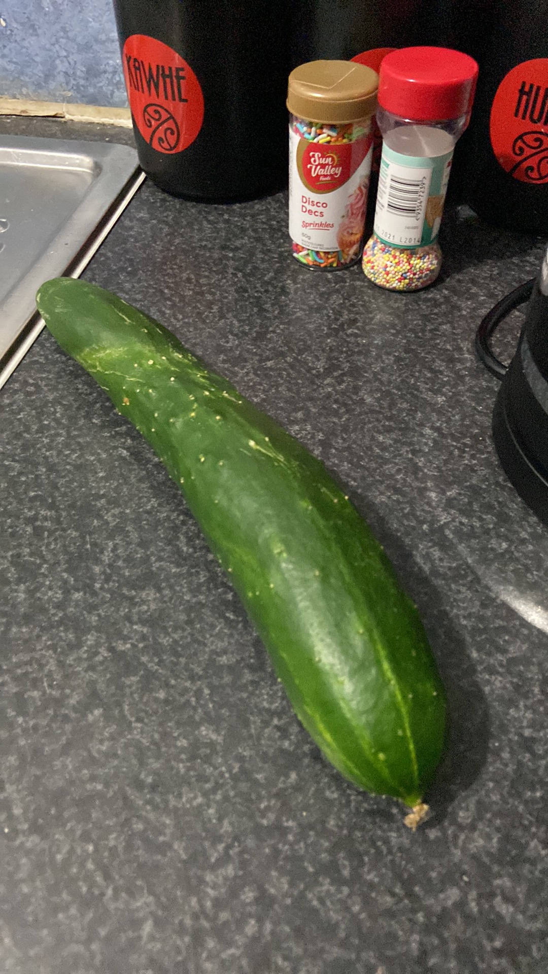 First cucumber