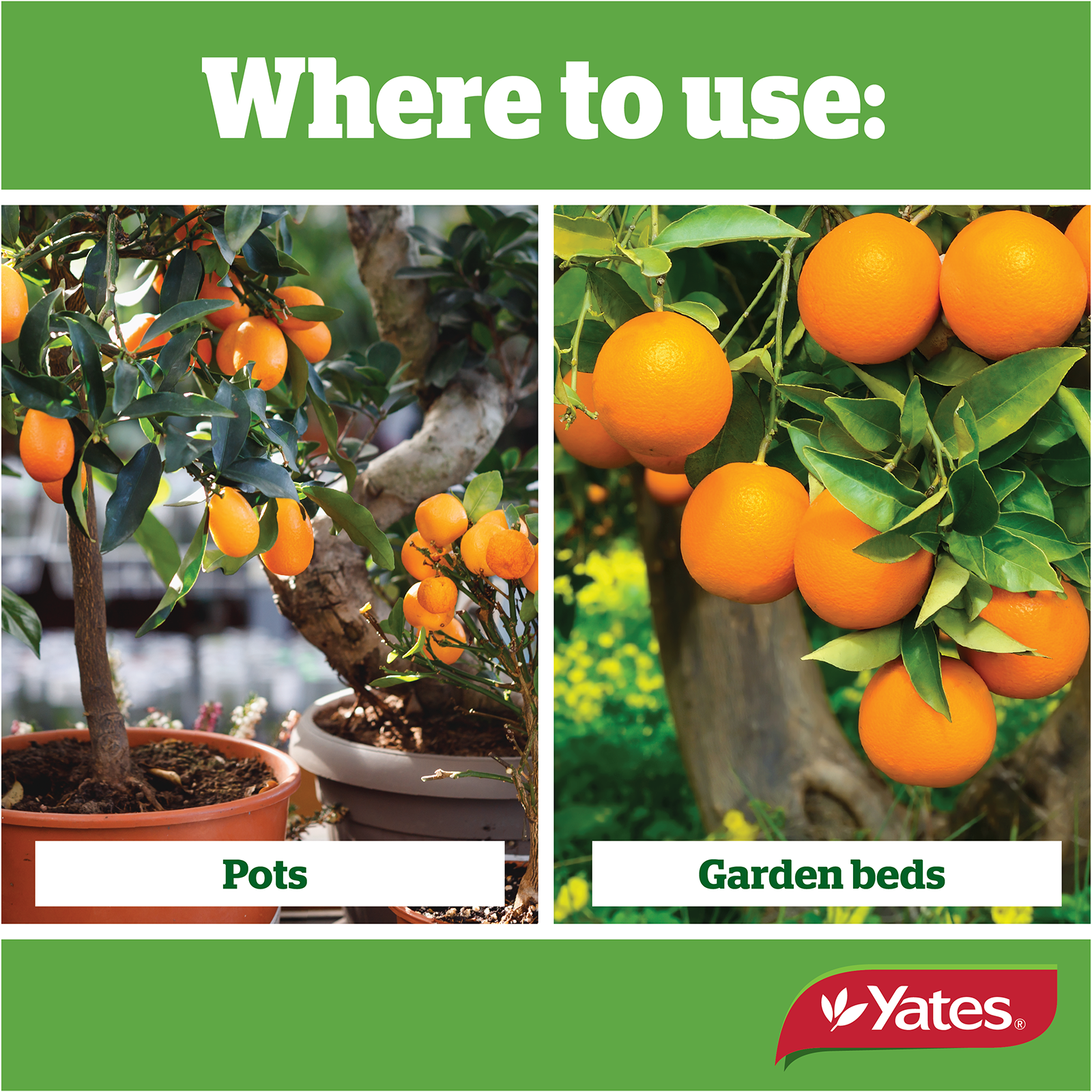 Yates Citrus Liquid V2 02