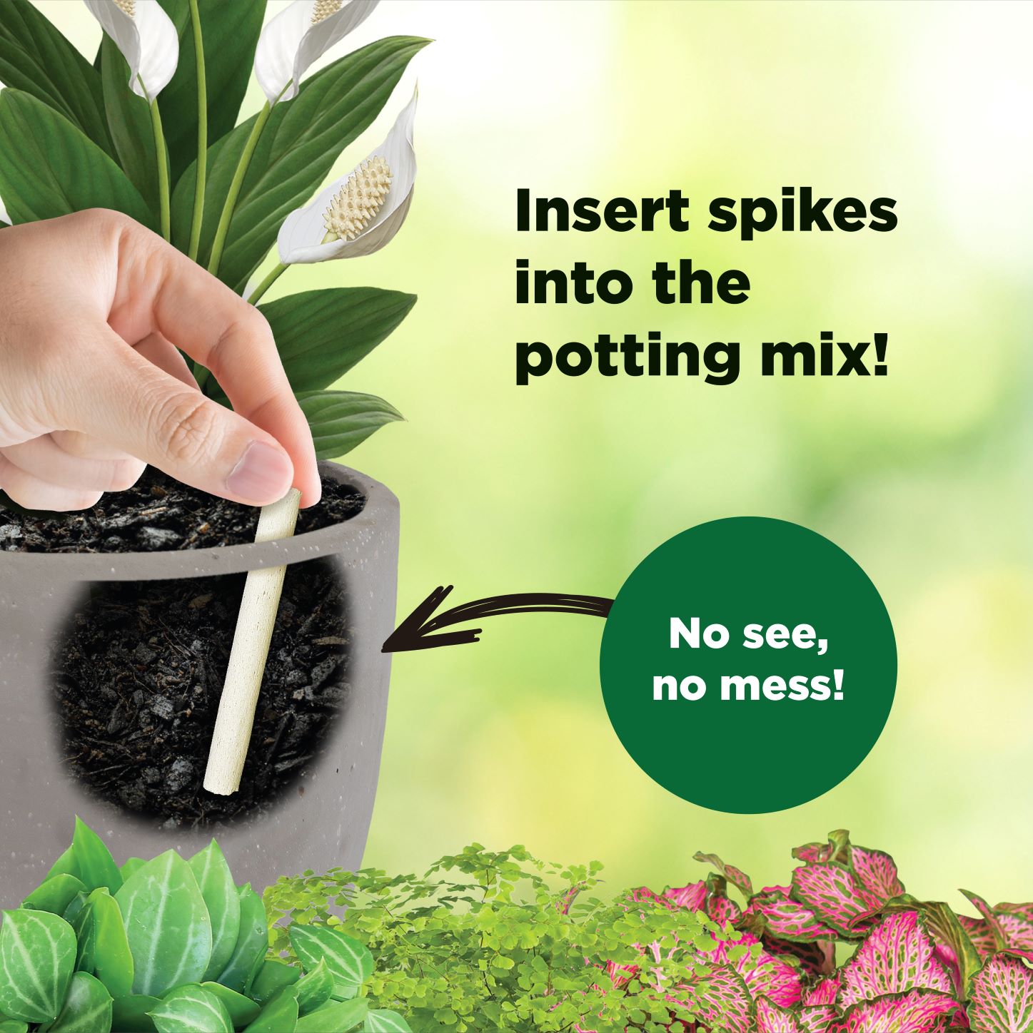 Yates Spikes Social Media Assets FA 04 (1)