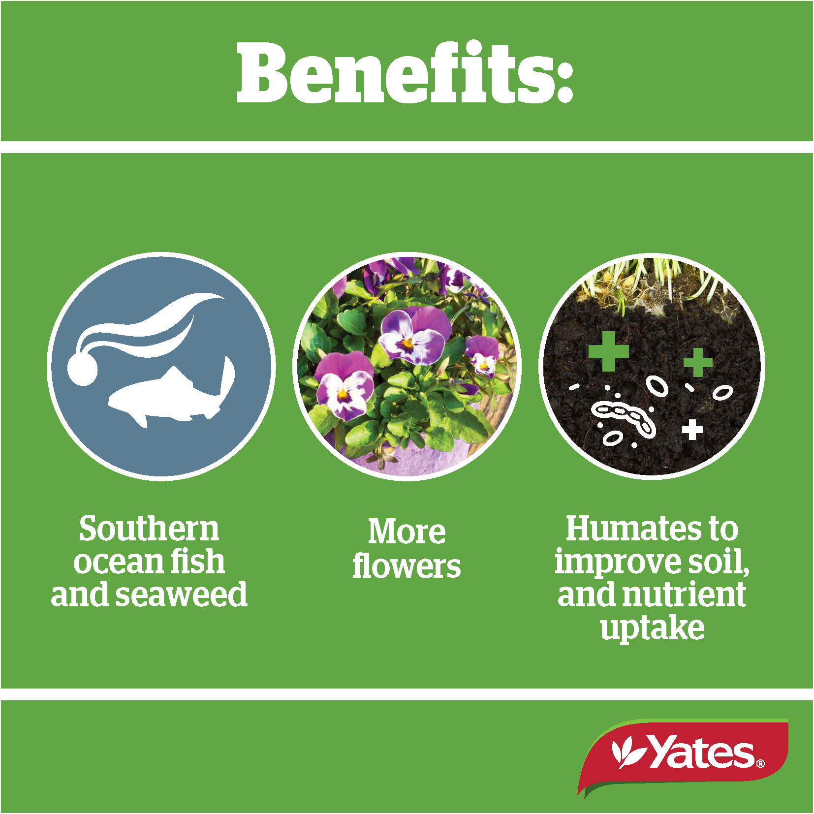 Thrive Naturals Rosesflowers V2 Png Page 5