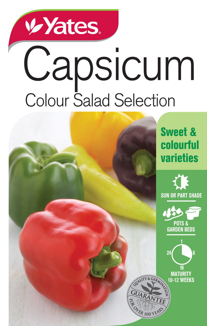 27981 Yates Vege Capsicum Colour Salad Packet Seed