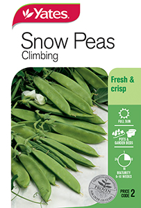 Snow Peas - Climbing