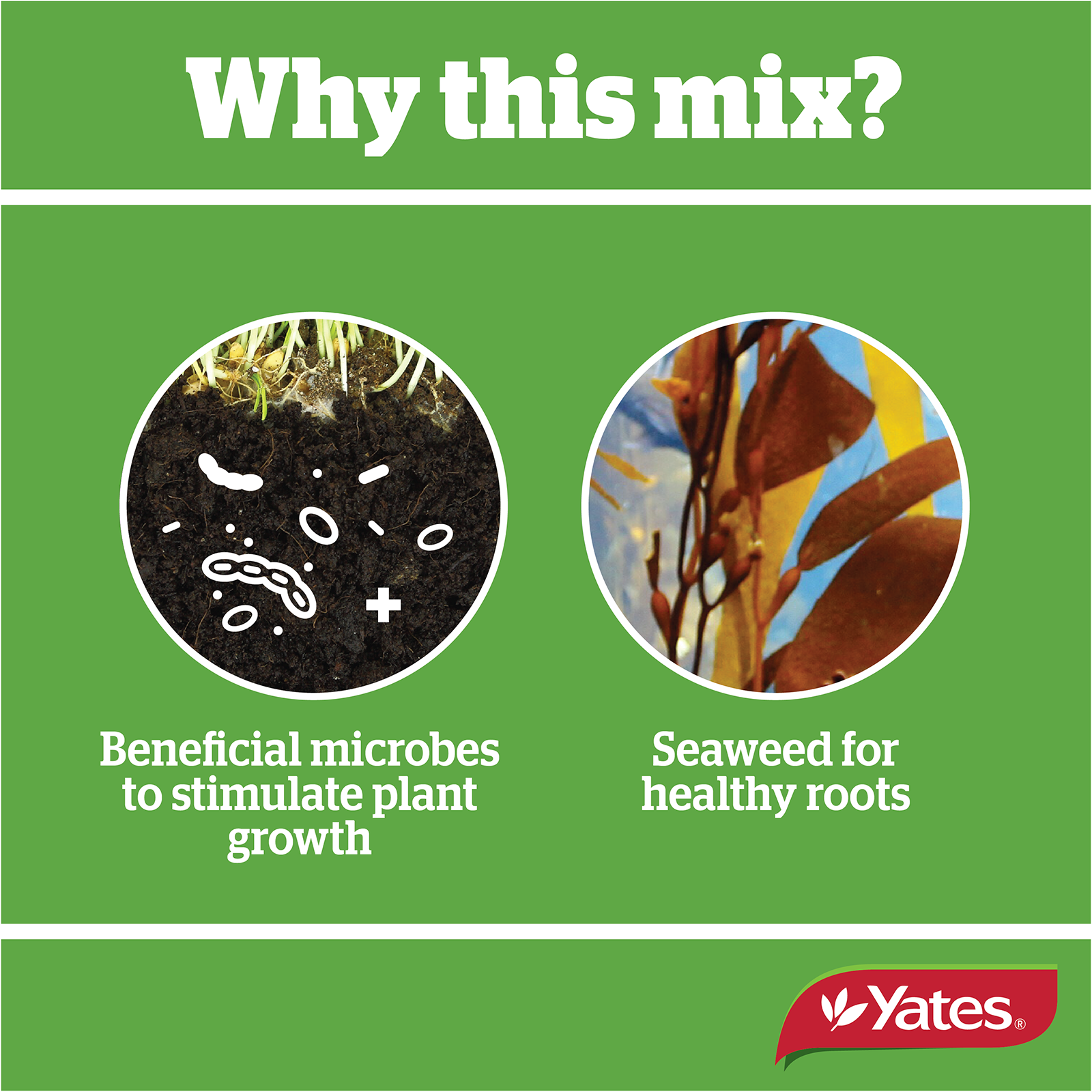 Yts Nature's Way Seed Raising Mix V2 05