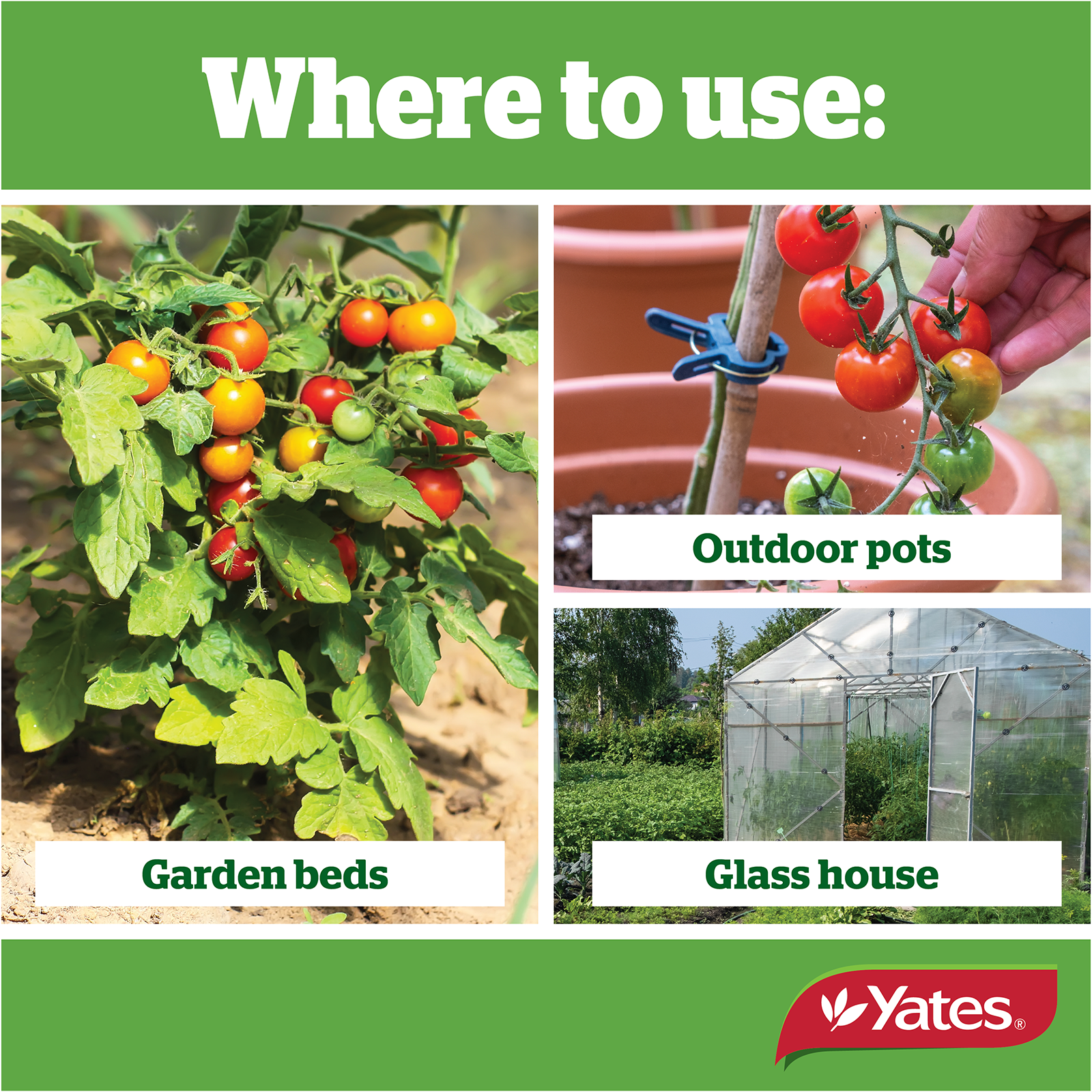 Yates Tomato Granulars V1 02