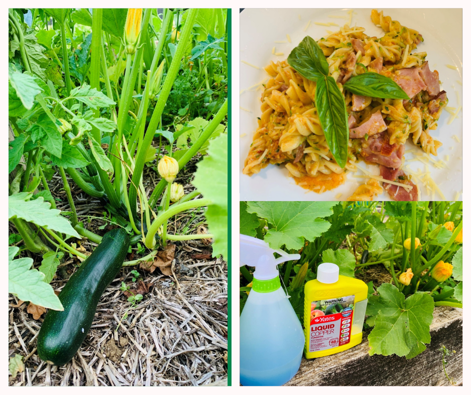 Zucchini and Bacon Creamy Pasta