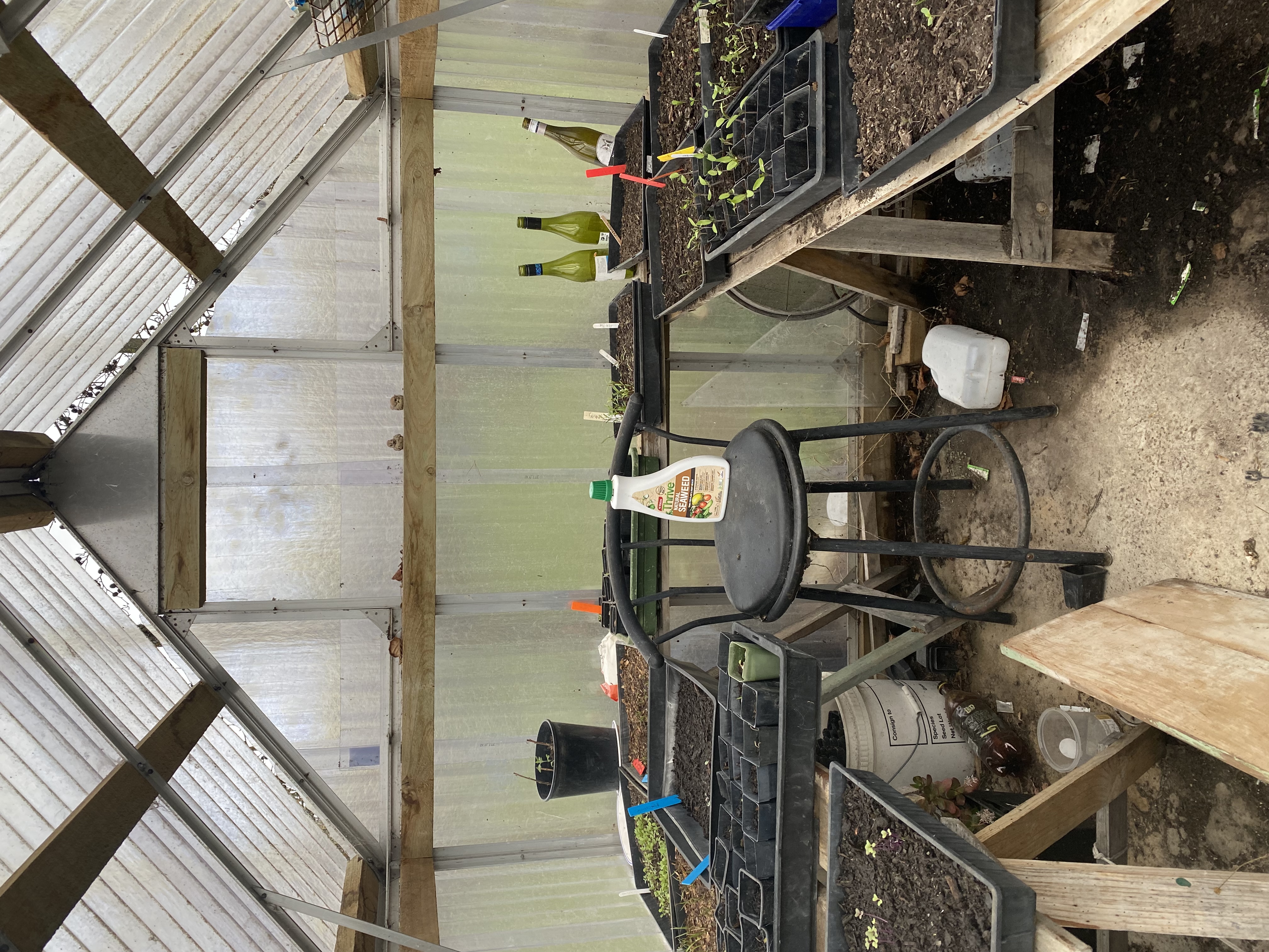 A glimpse into the green house 