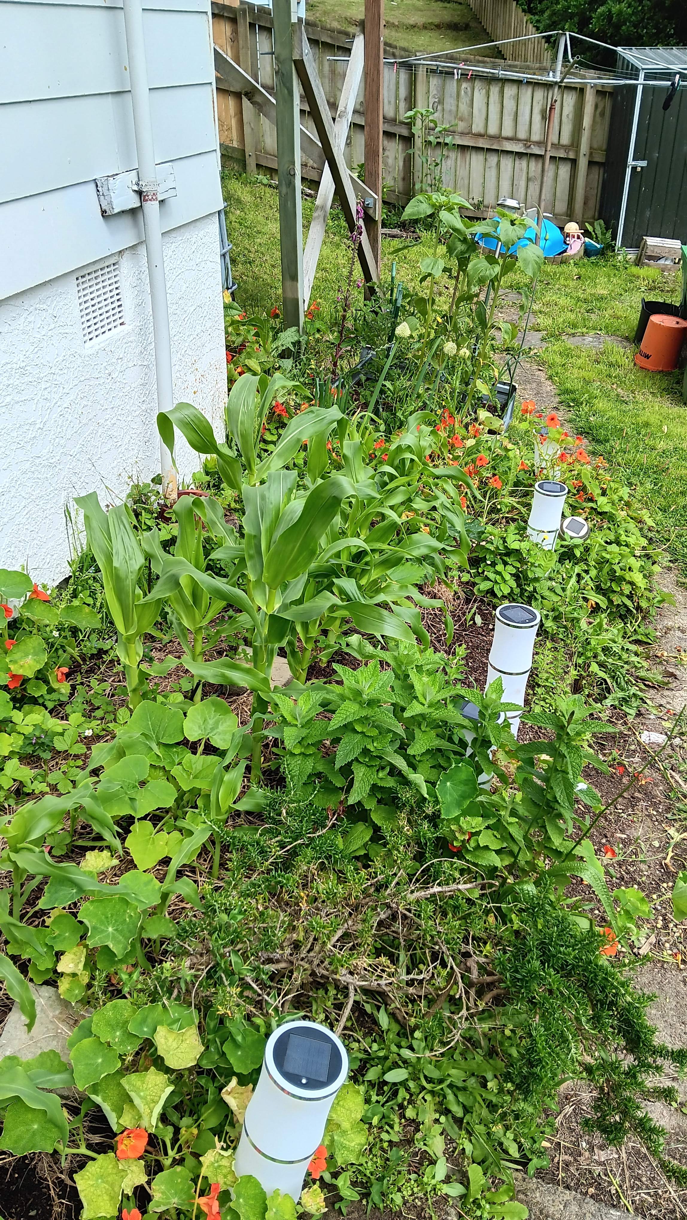 Summers ups and downs.