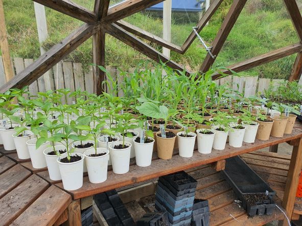 Friday Top Tips on a Saturday – Getting Ready for Planting.