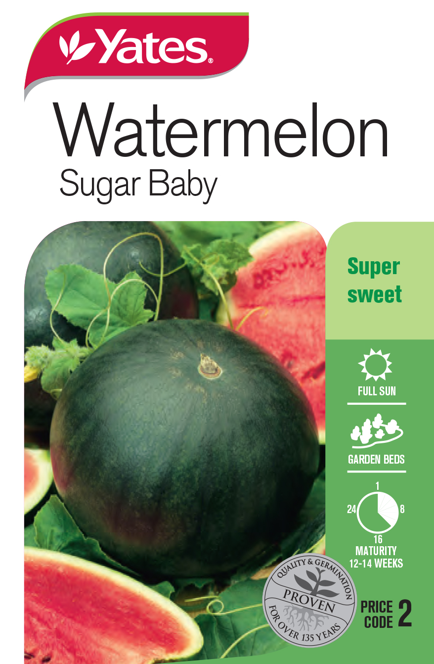 Watermelon 'Sugar Baby'