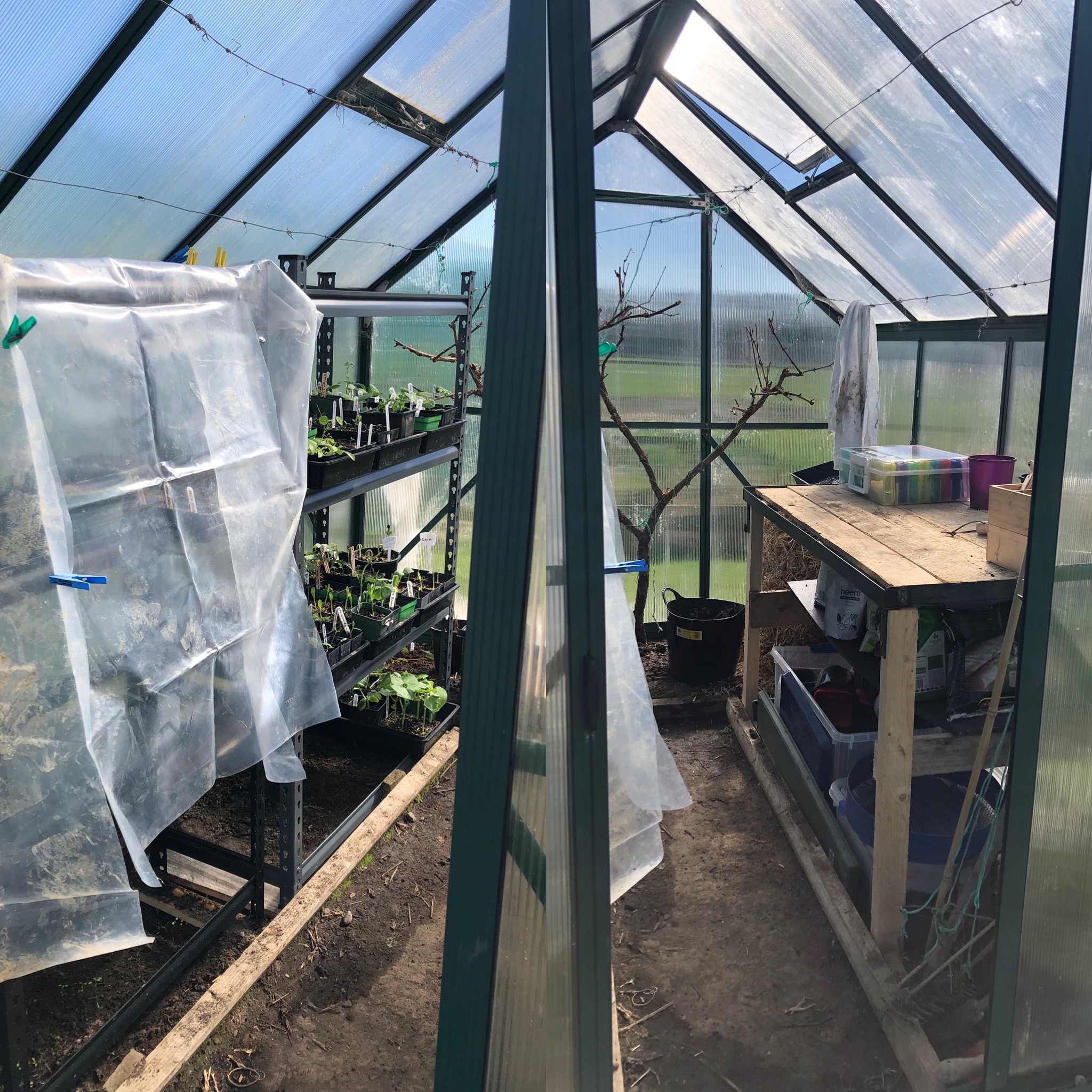 When the sun finally shines