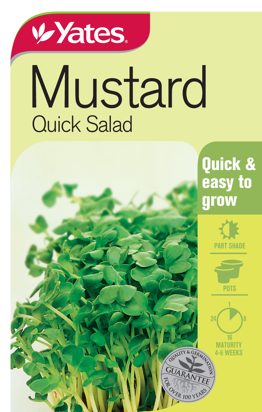 Mustard Quick Salad