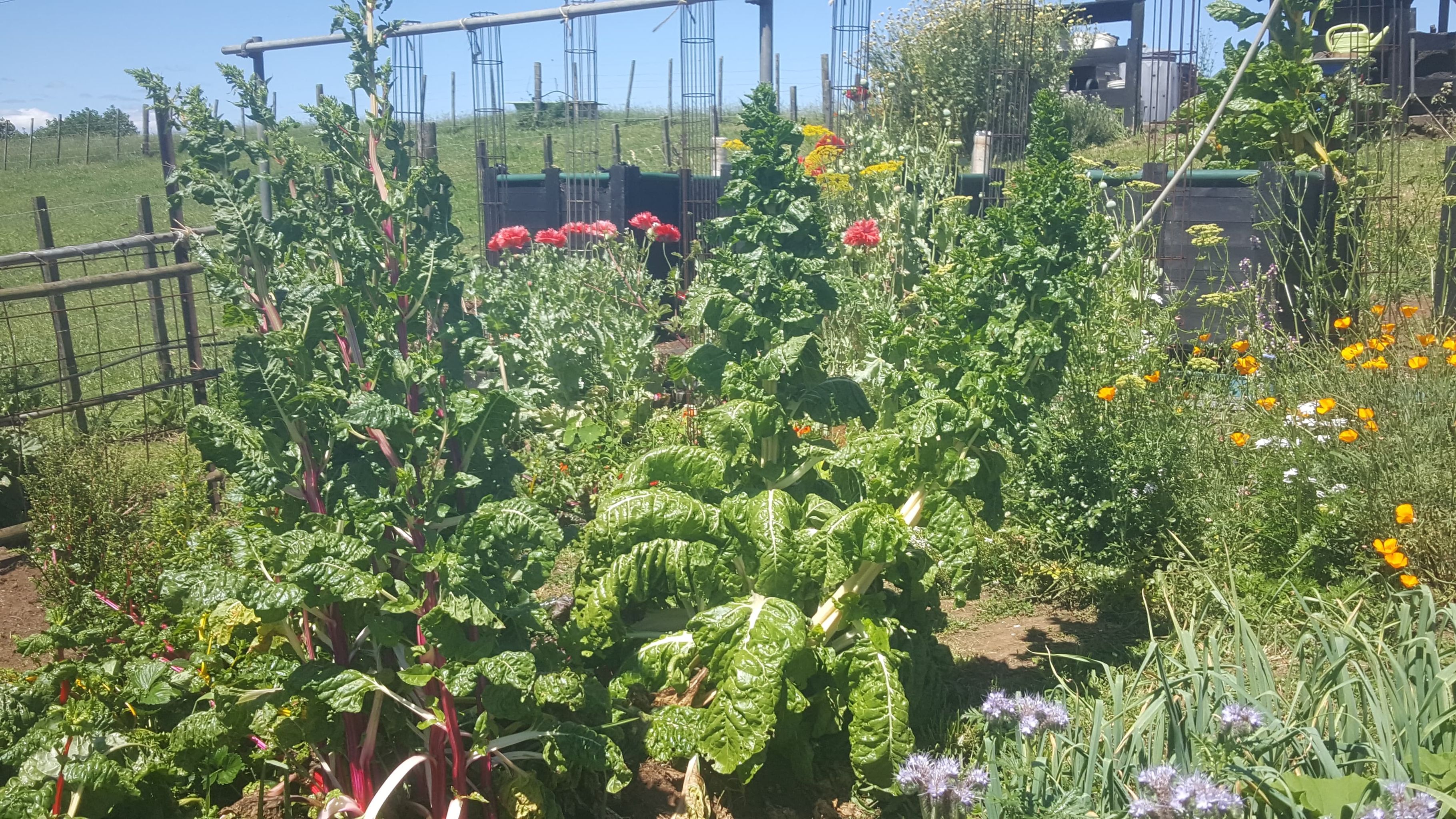 Welcome to the jungle...