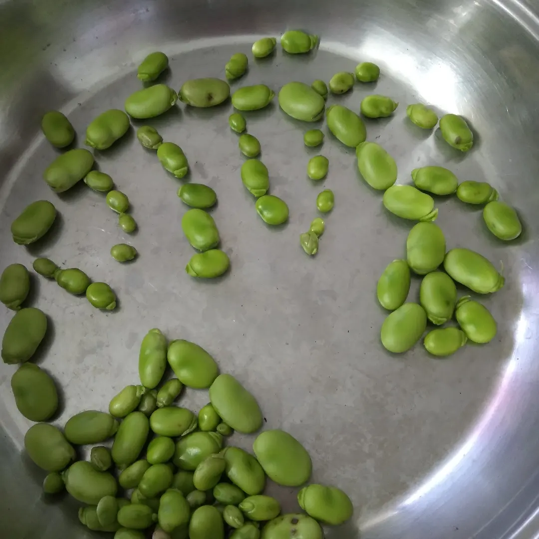 Ataahua! I always think broadbeans look so pretty,like stone-washed pebbles on the beach...