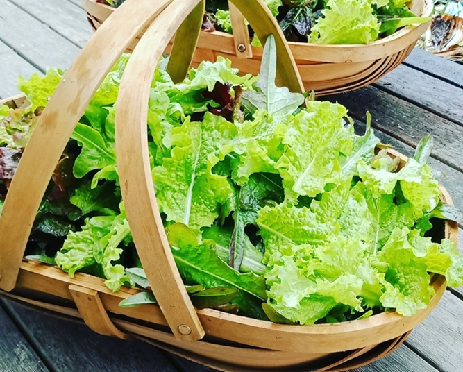 VGC 22 Cover Image 2 Copy