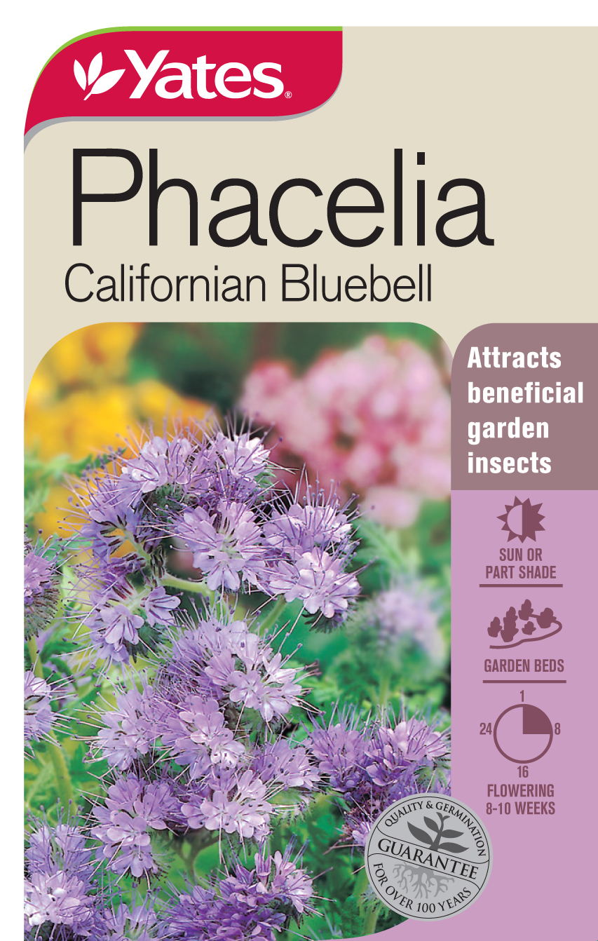 45780 Yates Flwr Phacelia Packet Seed