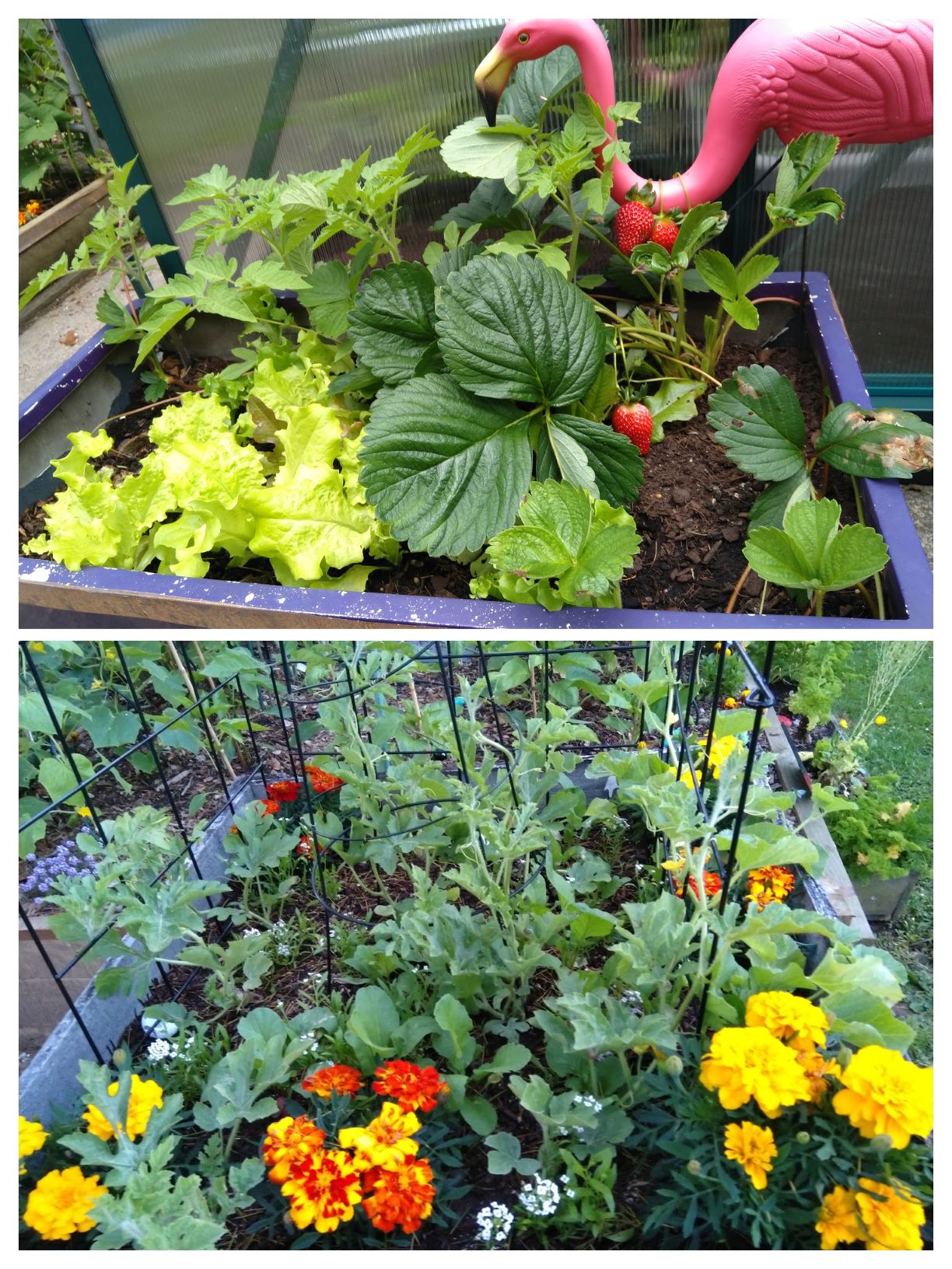 Kids’ Corner Update