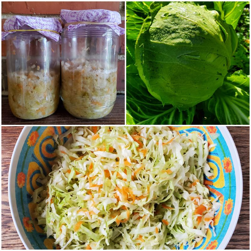 Sauerkraut recipe for the spring cabbages