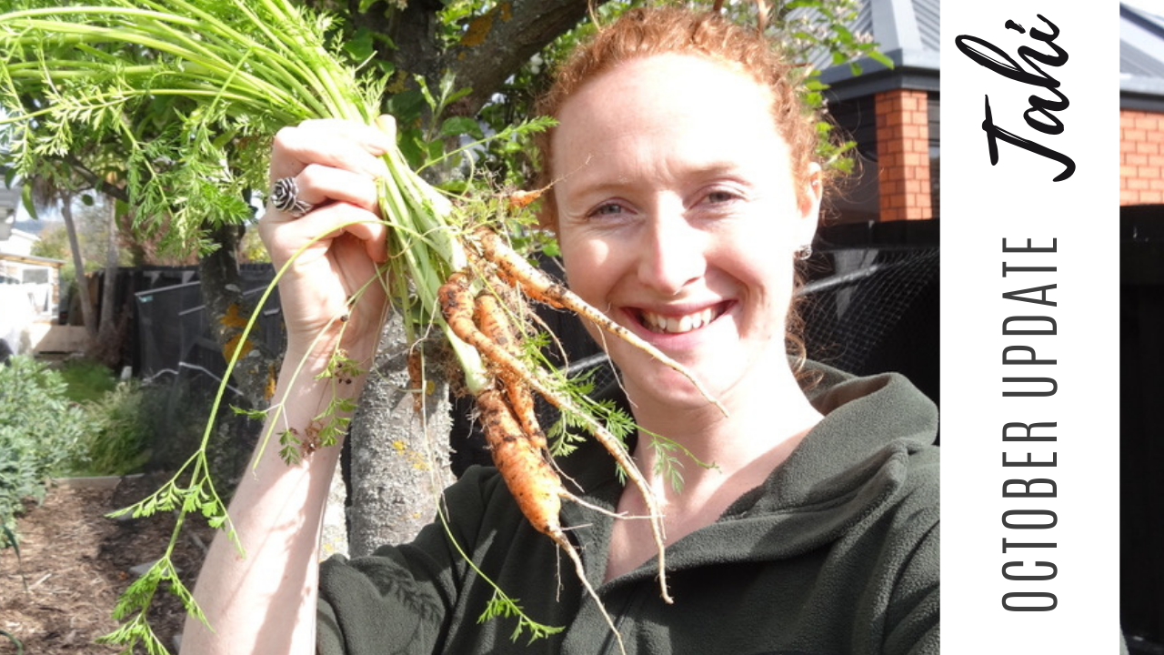 October Garden Update - Tahi