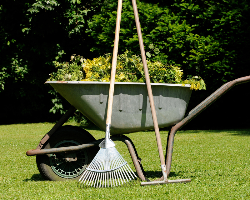 A Pre-Christmas Garden Blitz!