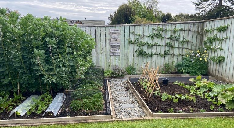 Another perspective.