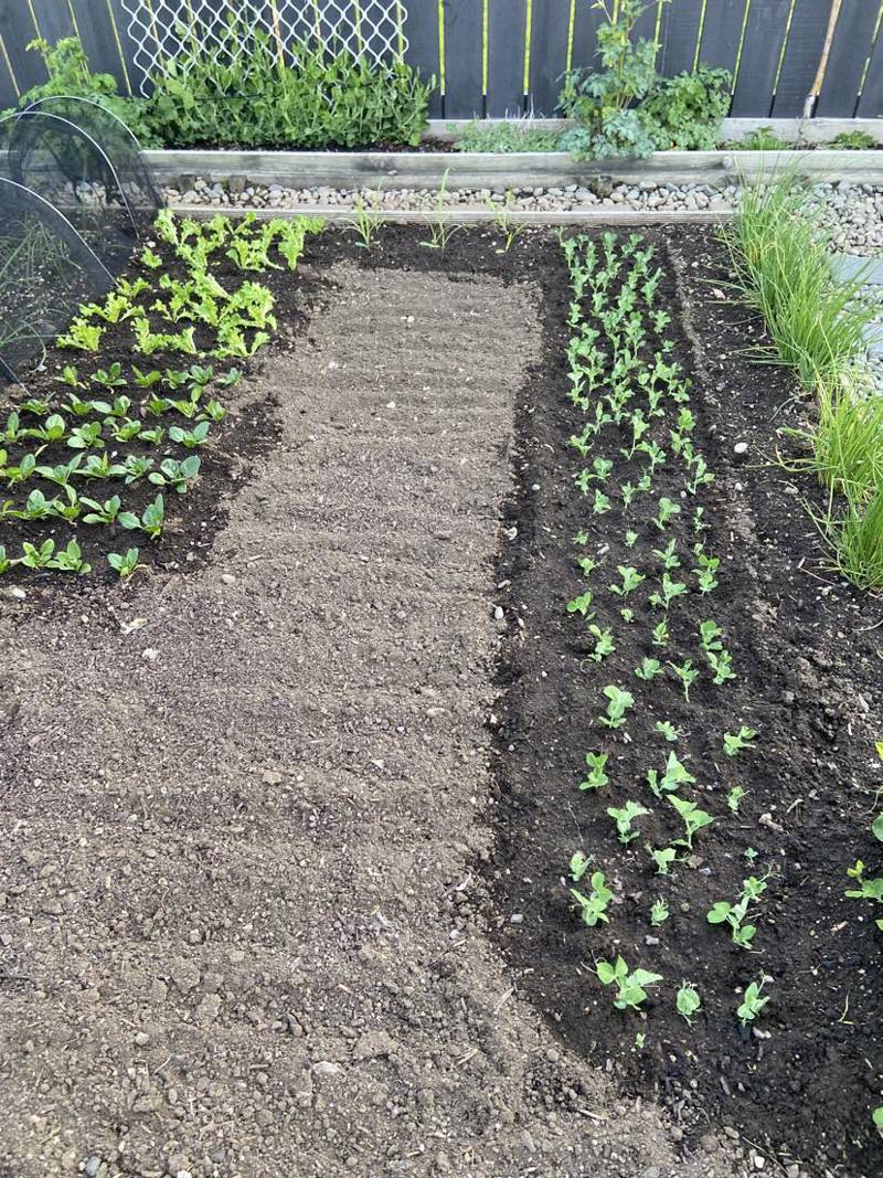 What a difference a day makes