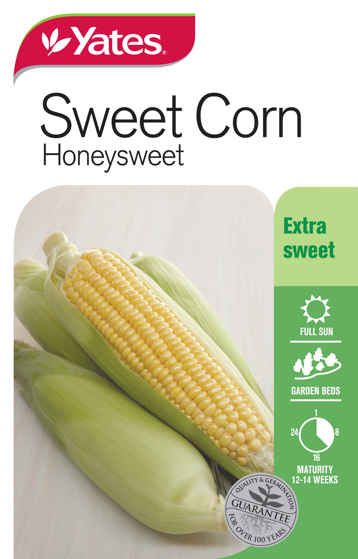 Sweet Corn 'Honeysweet'
