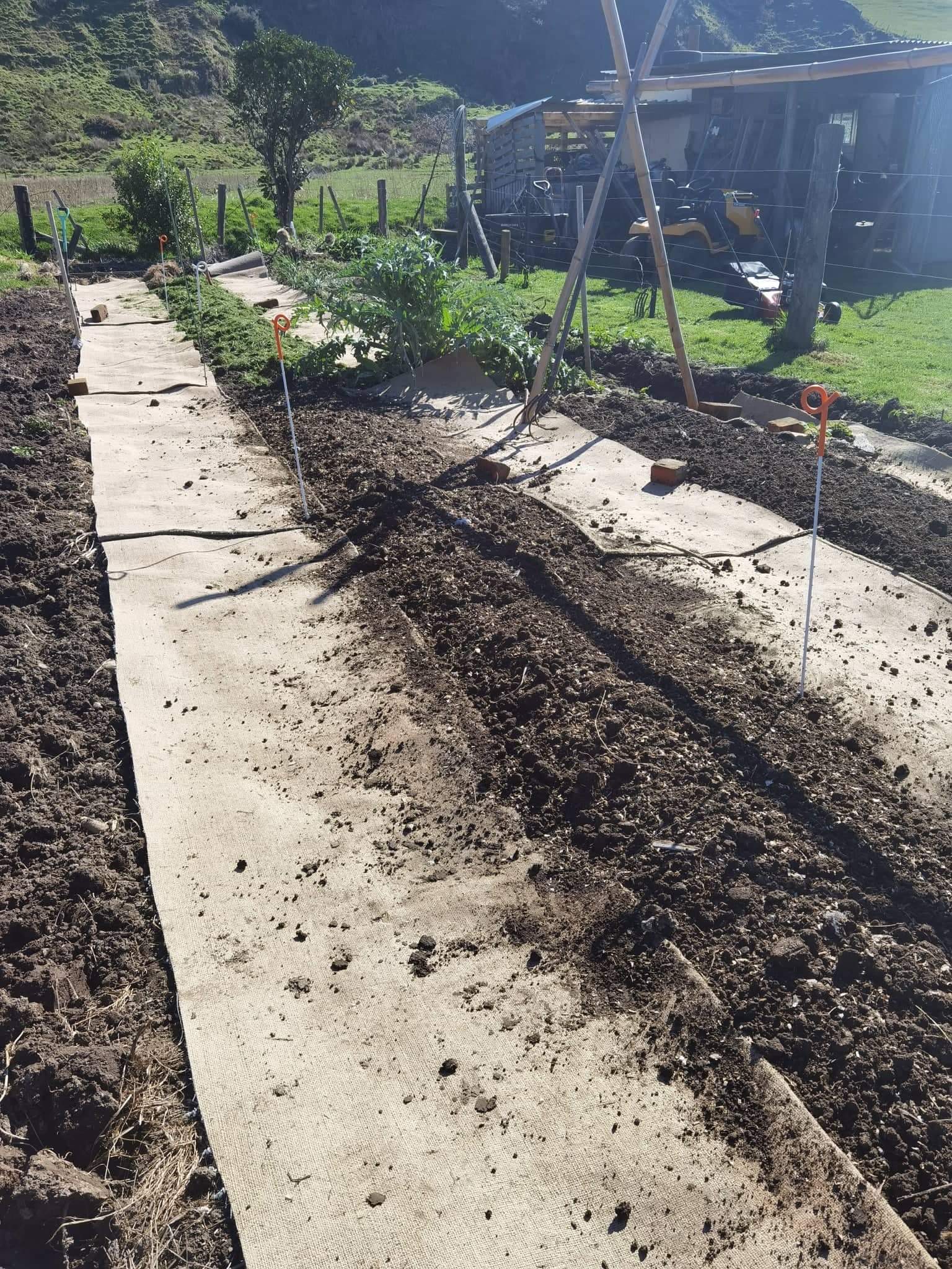 Spring lockdown and dusted