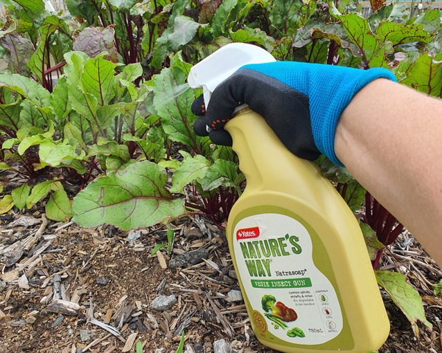 Sustainability Products