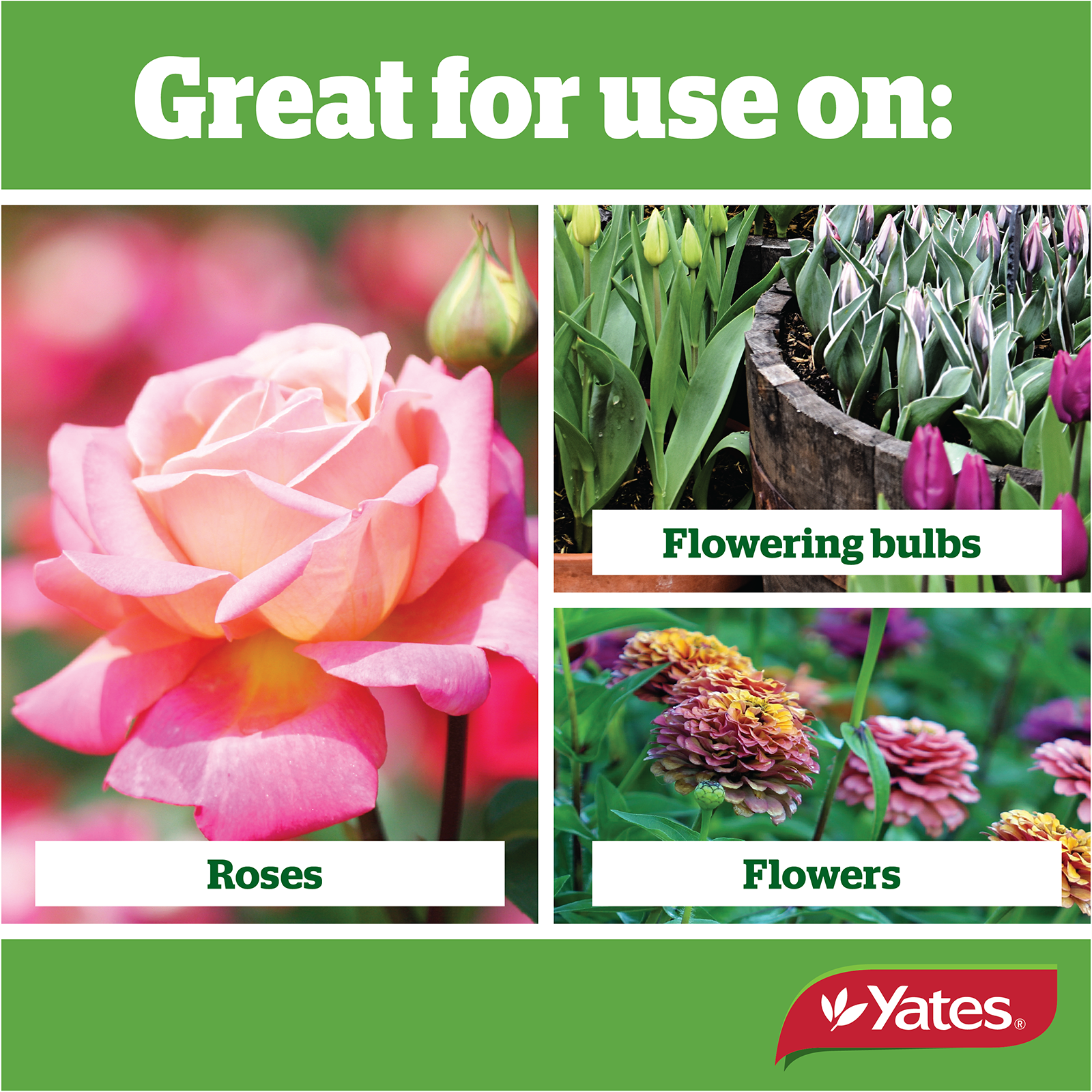 Yates Roses And Flowers Granulars V1 06