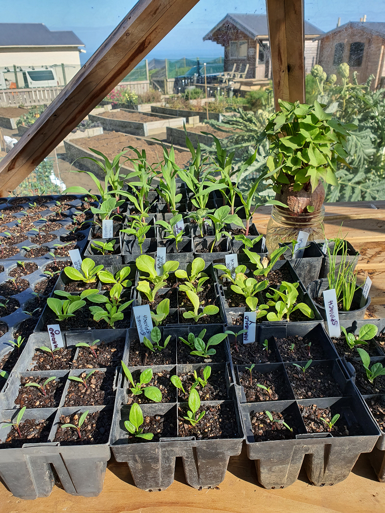 Spring is a tease - don't trust it!