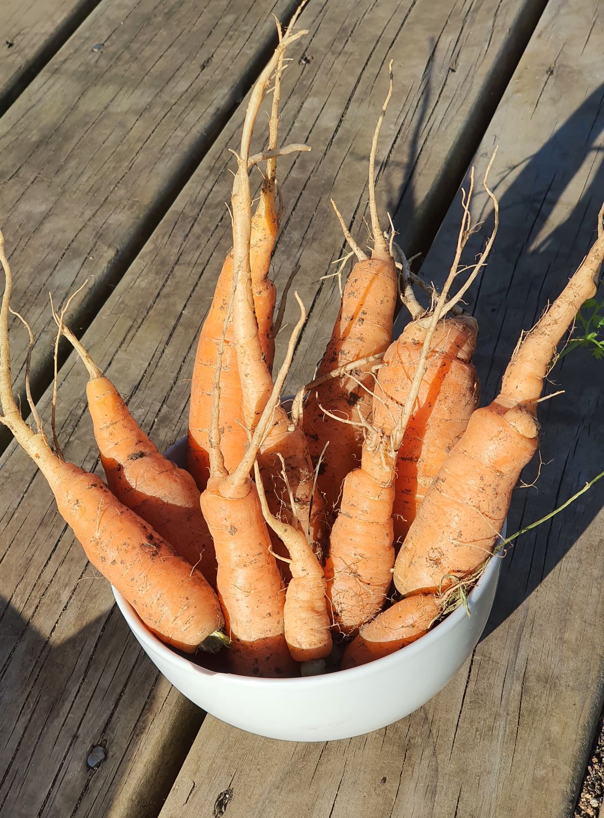 The Mini Challenge winners are….