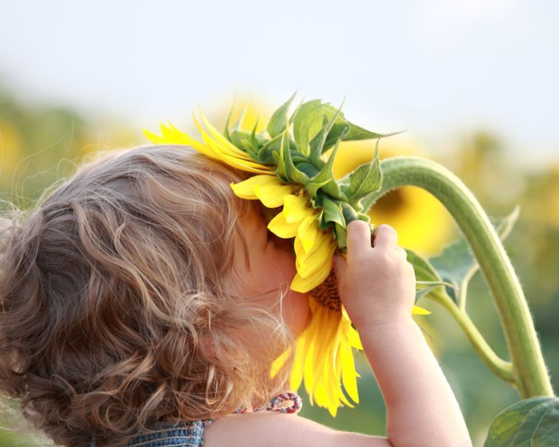 Seasonal Garden Calendar