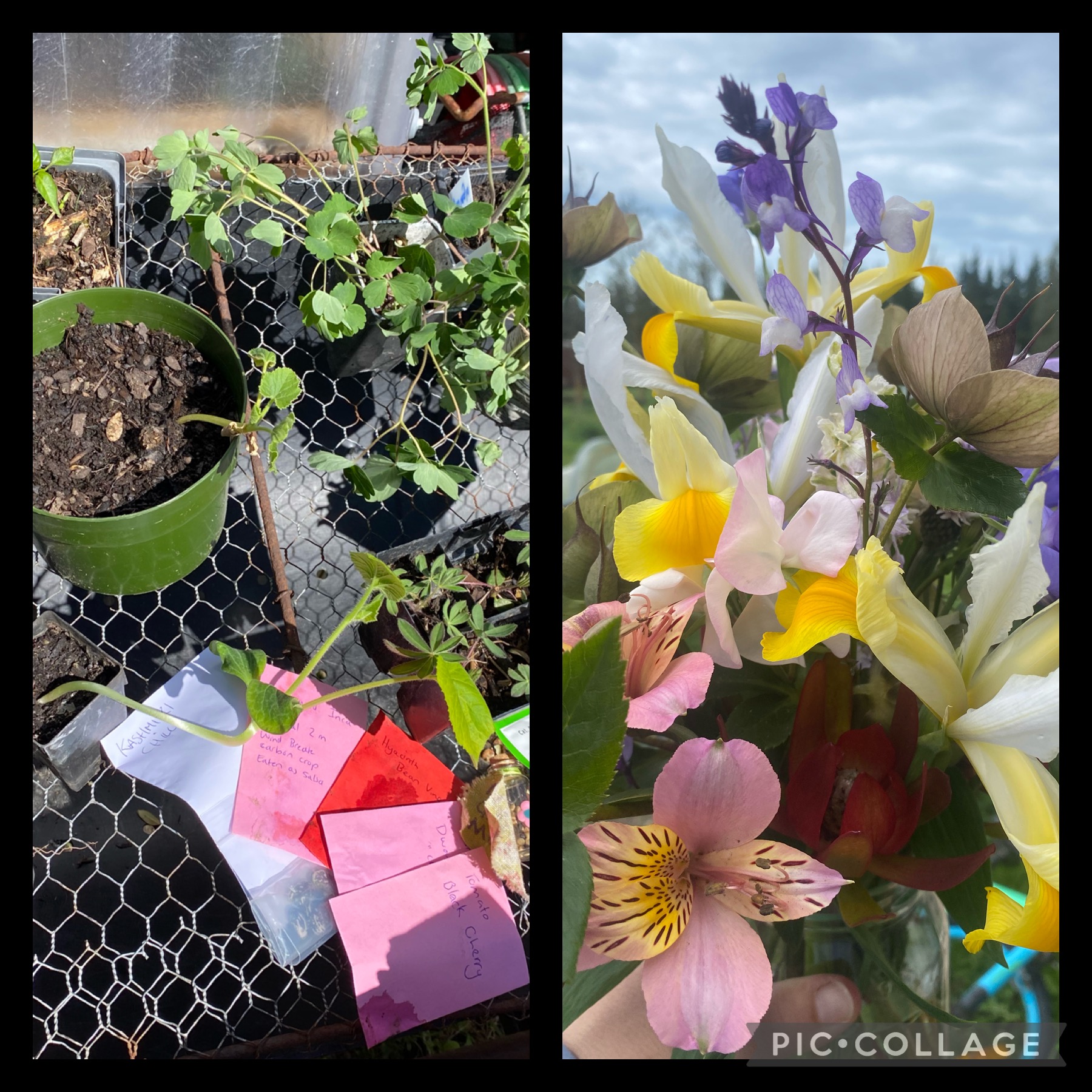 I love our community 