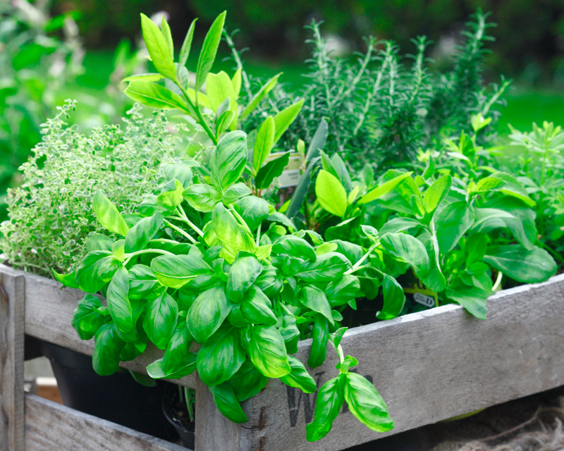 What to Do in November