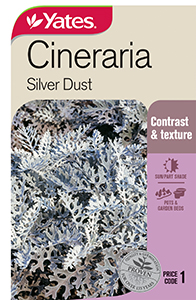 Yates Y35 972 Cineraria Silver Dust 2021