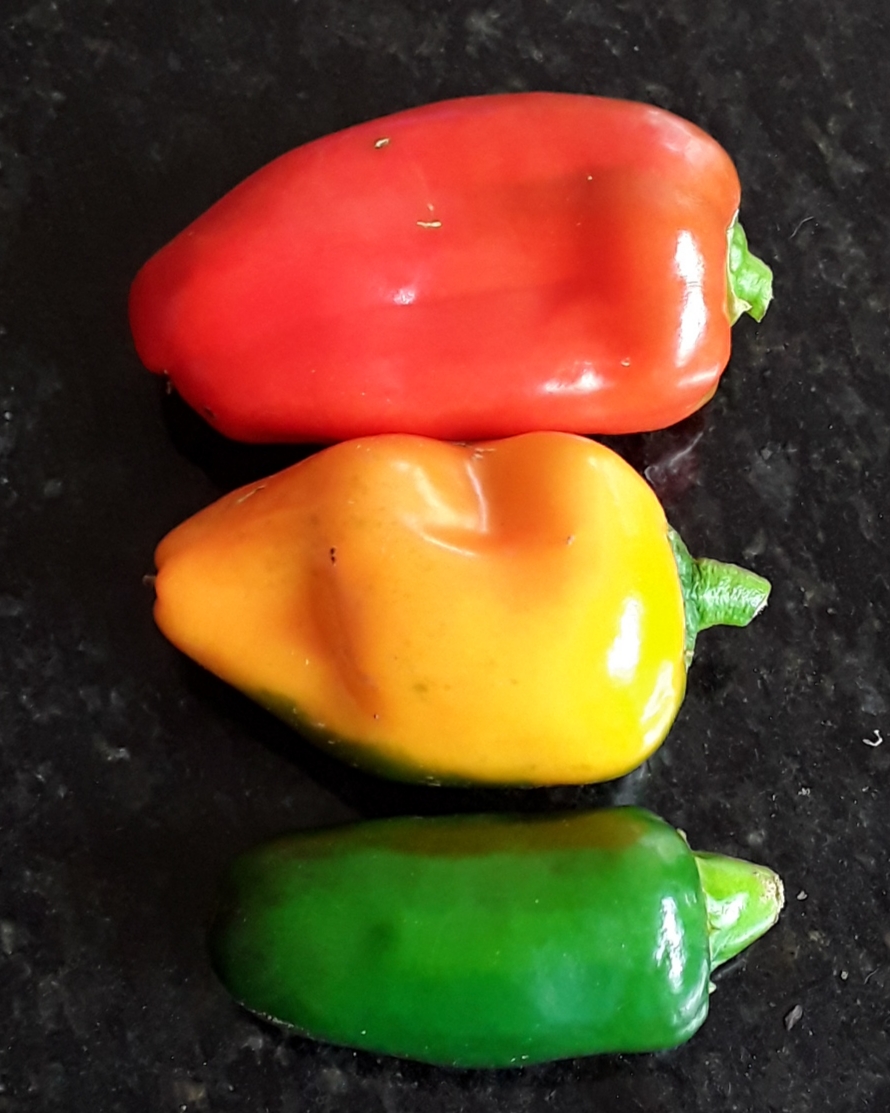 Pepper Traffic Light.