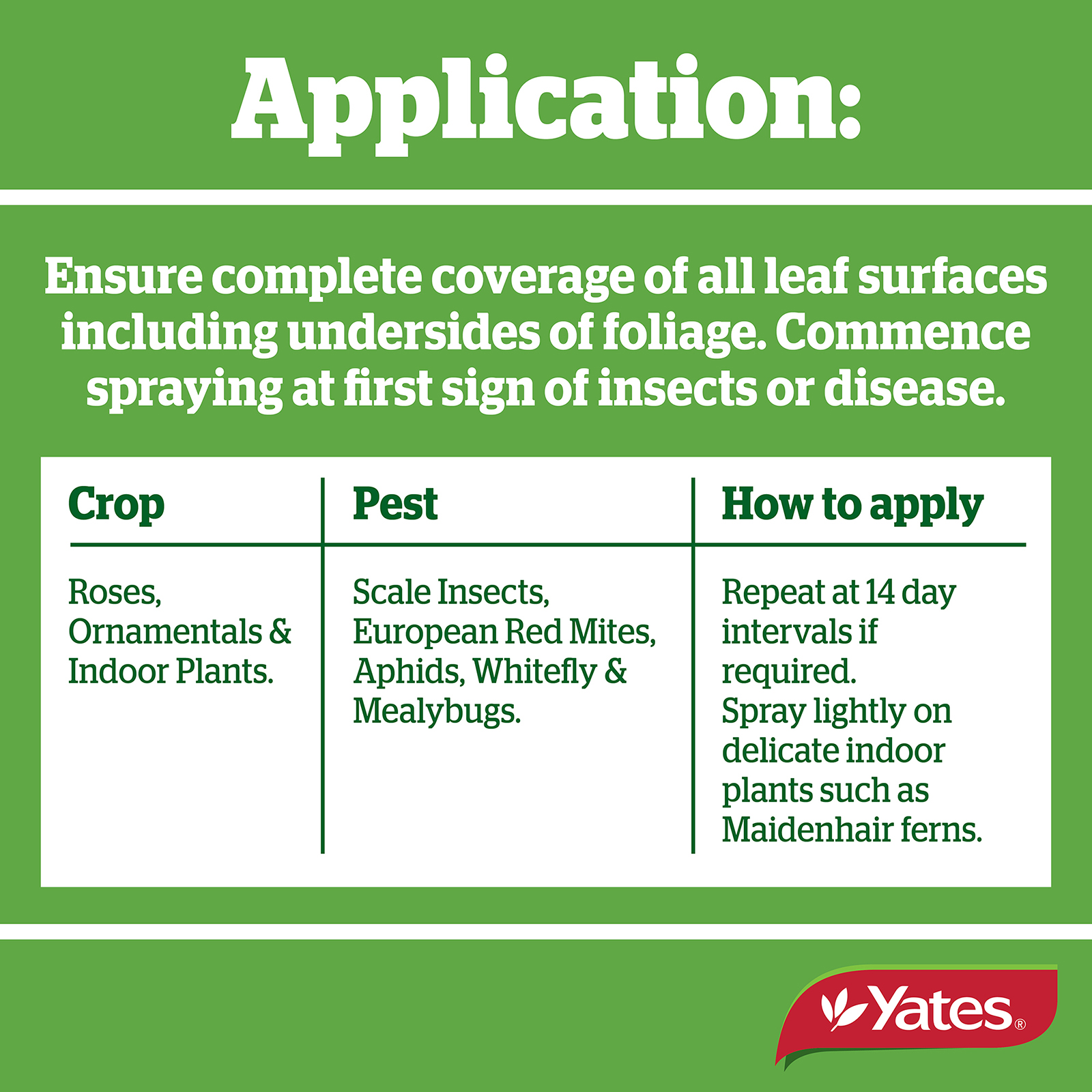 Yates Web Info BUG OIL 05