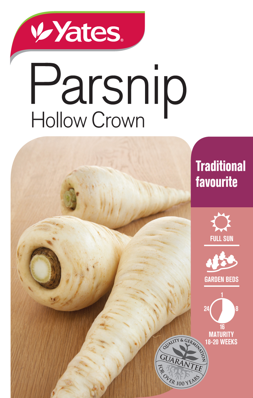 Parsnip 'Hollow Crown'