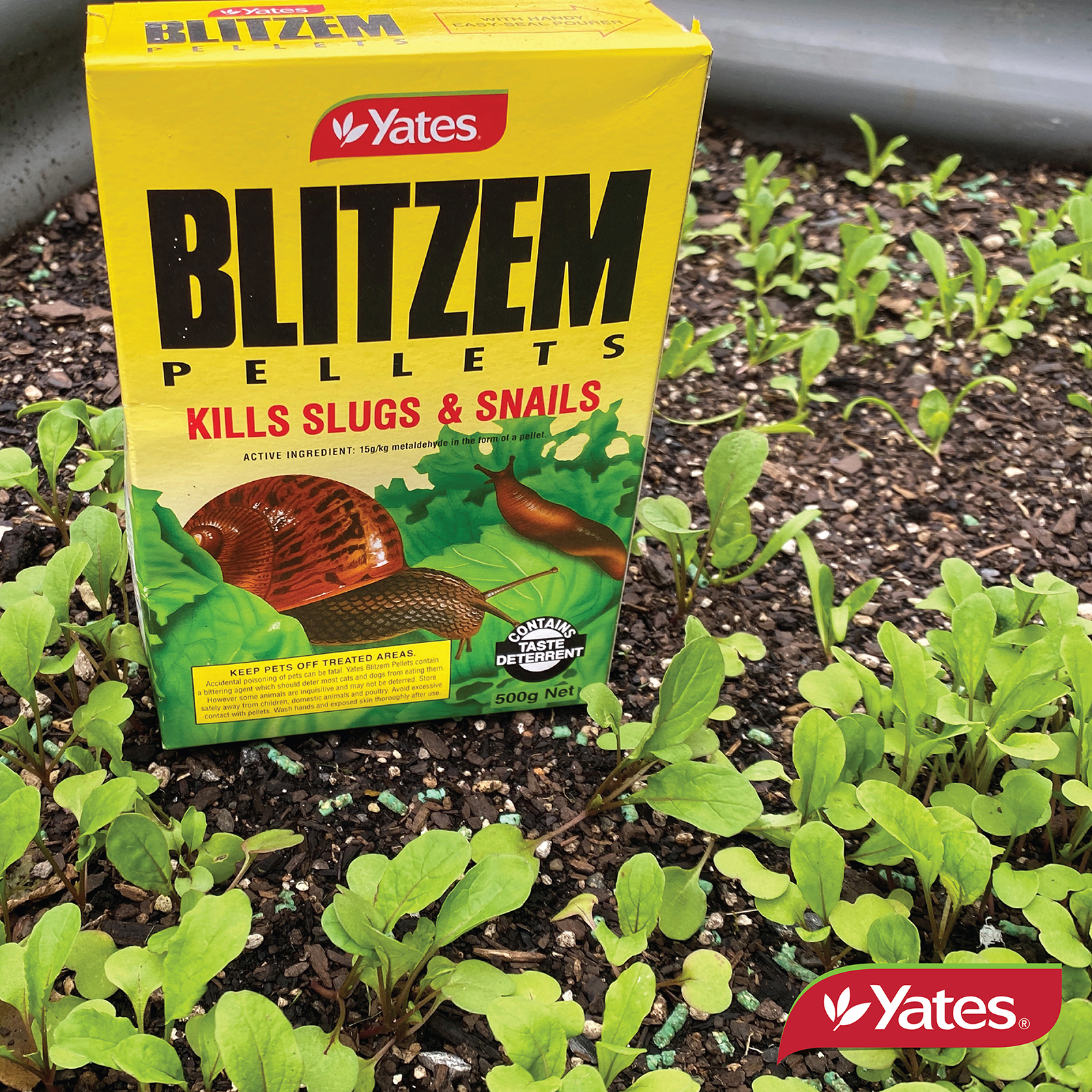 Yates Web Info SLUG AND NAIL 07