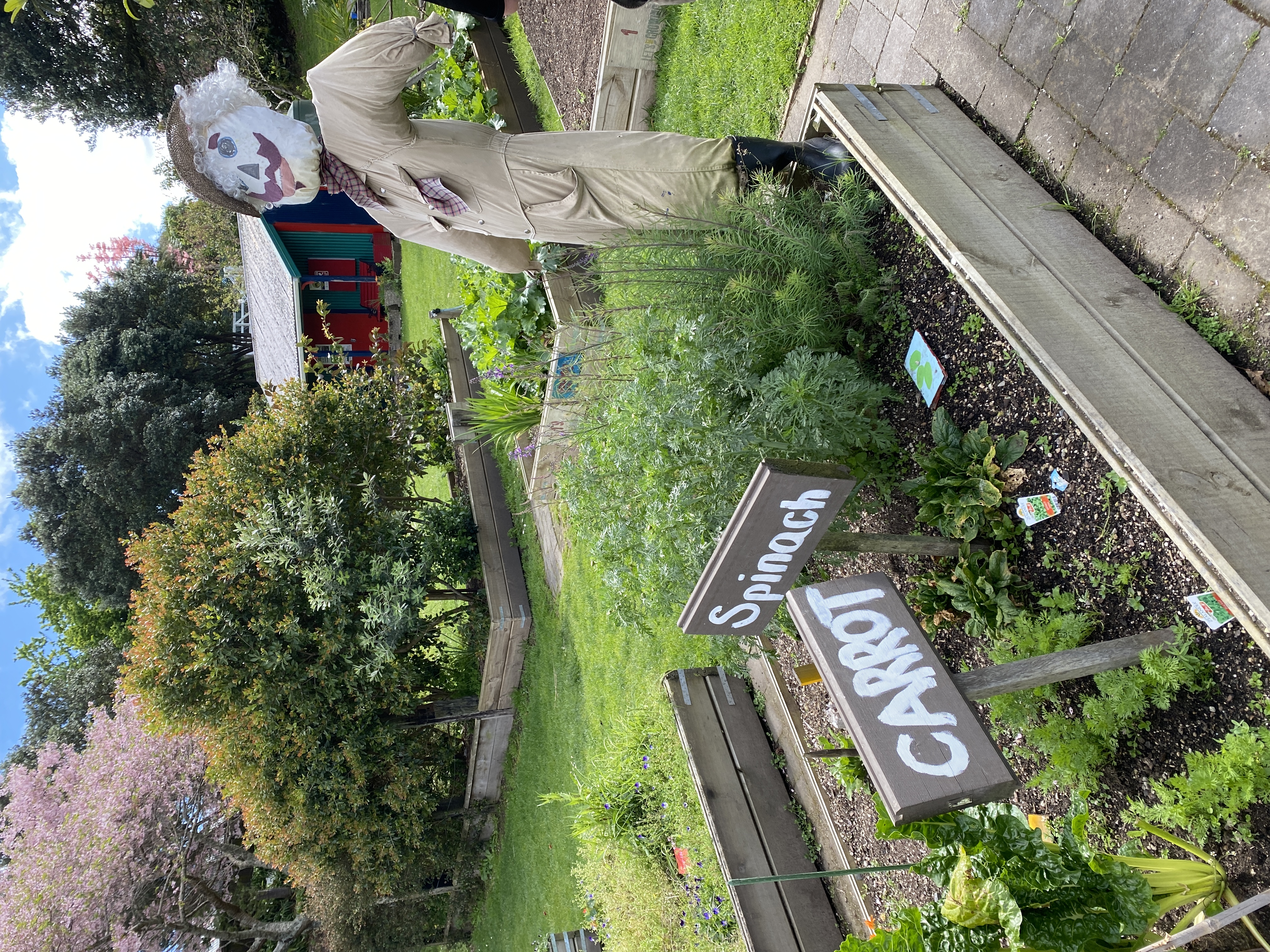 Having a nosey at other gardens
