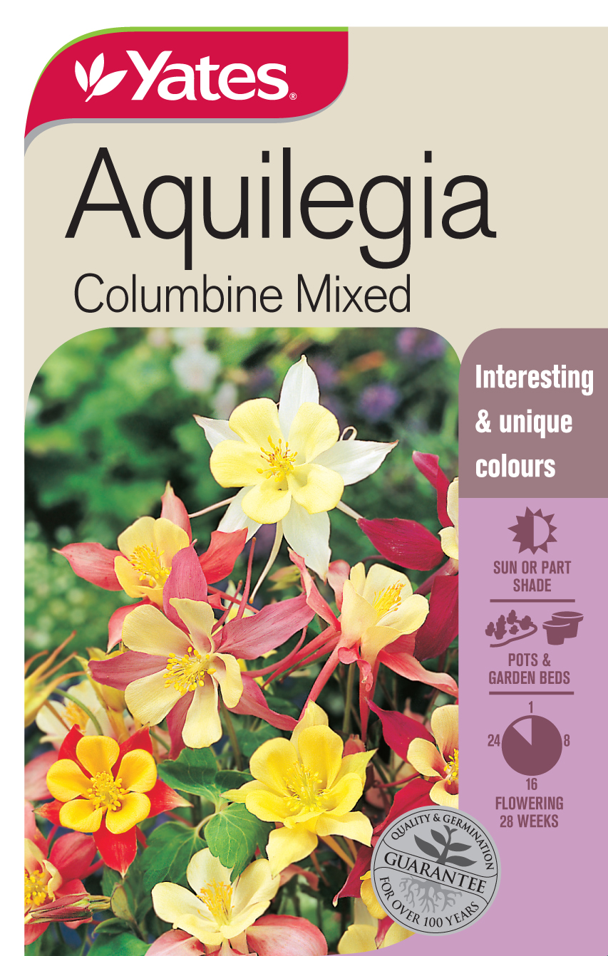 Aquilegia 'Mixed Columbine'